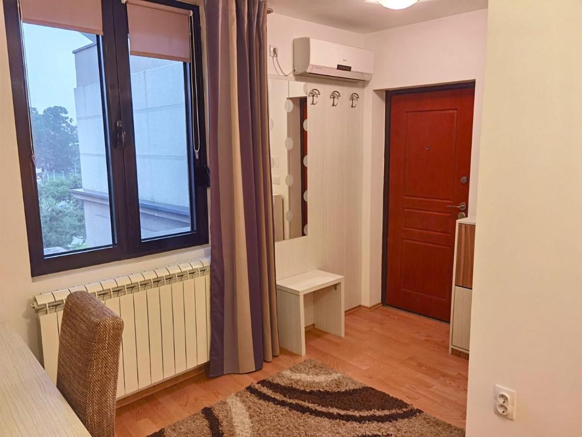 Alo Alo Apartman 6 Kruševac المظهر الخارجي الصورة